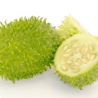 Maxixe Chico Embalado 200g