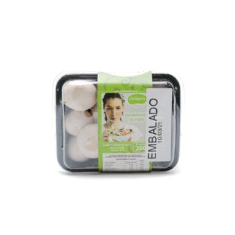 Cogumelo Kentisa In Natura 250g