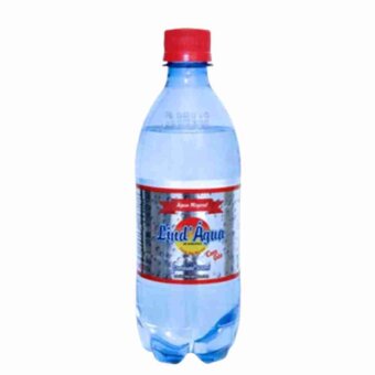 Água Mineral Com Gás Lindagua 500Ml