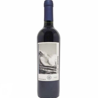 Vinho Tinto Uruguaio Tannat Olas Y Vientos 750ML 