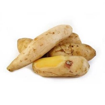 Batata Yacon Kg