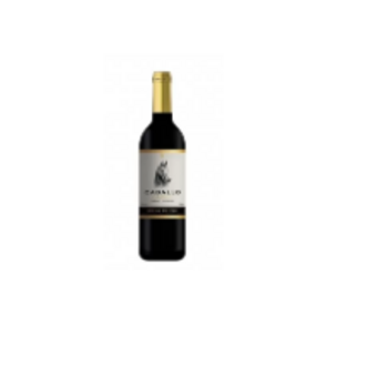 Vinho Chileno Caballo Cabernet Suavignon 750ml