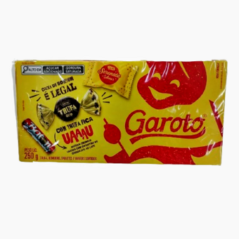 Bombom Garoto Sortidos 250g