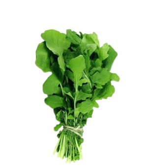 RUCULA QUERO MAIS HIG 100G