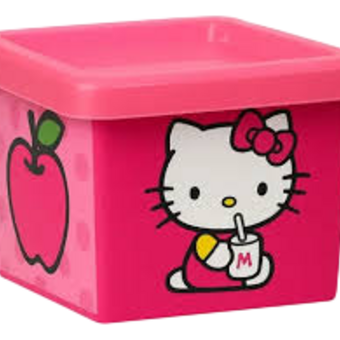 ORGANIZADOR POTTE QUAD 430ML CANDY