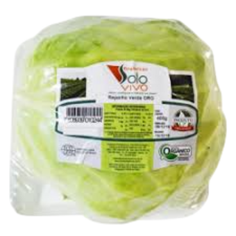 REPOLHO VERDE SOLO VIVO ORG 400G