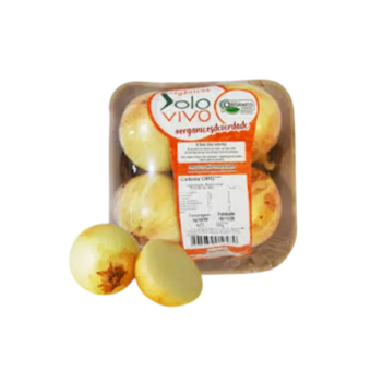 CEBOLA SOLO VIVO ORG 500G