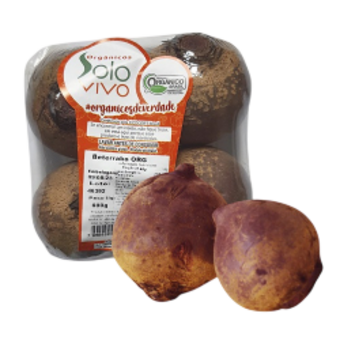BETERRABA SOLO VIVO ORG 600G