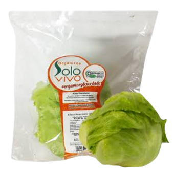 ALFACE AMER SOLO VIVO ORG 250G