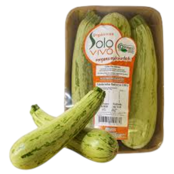ABOBRINHA ITALIANA SOLO VIVO ORG 600G