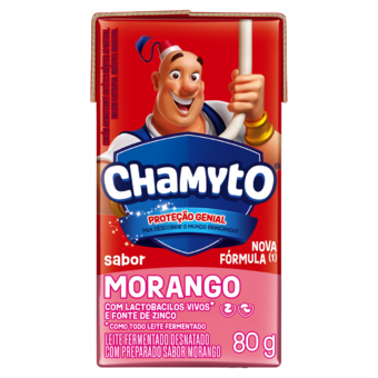 LEITE FERM CHAMYTO 80G MGO