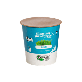 PLANTA PARA PETS AVEIA