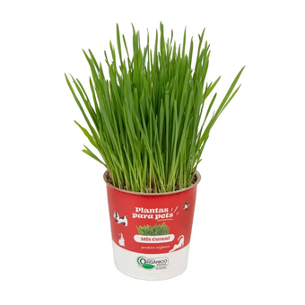 PLANTA PARA PETS MIX CEREAL