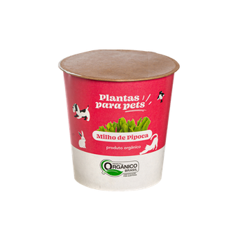 PLANTA PARA PETS MILHO PIPOCA