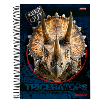CADERNO JANDAIA ESPIRAL CD UNIVERSITÁRIO 12M 192F STONE