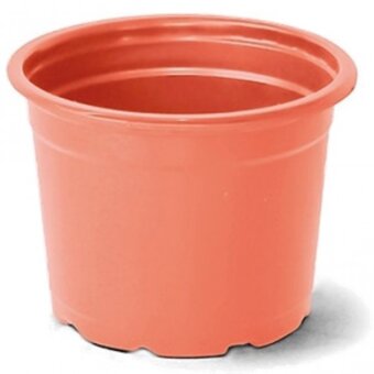 Vaso Plástico Nutriplan Nº01