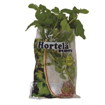 Hortelã Hidropônico Buriti