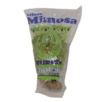 Alface Mimosa Hidropônico Buriti Unidade