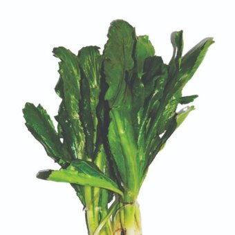 Chicoria Arasuper Unidade