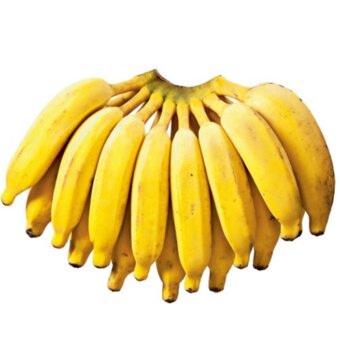 Banana Prata Rio Branco Kg