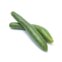 Pepino Japonês Kg