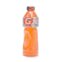 Bebida Isotônica Frutas Cítricas Gatorade 500Ml