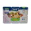 Bebida Láctea Real Mix Frutas 540G