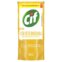 Limpador Desengordurante Cif Refil Derrete Gordura 450ml