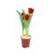 Flor Tulipa Variada P12