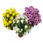 Flor Crisantemo P15