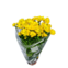 Flor Crisantemo Mini Pt11