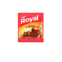 PUDIM ROYAL 50G CHOC