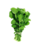 RUCULA QUERO MAIS HIG 100G