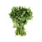 OREGANO FRESCO UN