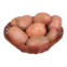 BATATA ASTERX KG