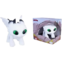 BRINQ PUPEE COMO TREINAR SEU DRAG BABY DAWN
