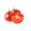 Tomate Kg